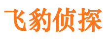 瑞安捉小三公司